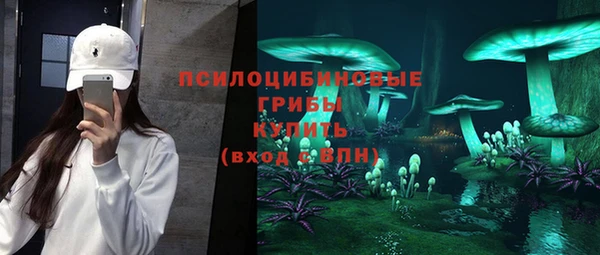 Альфа ПВП Алексин