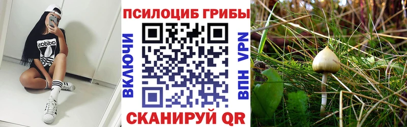 Псилоцибиновые грибы Psilocybine cubensis  купить наркоту  Межгорье 